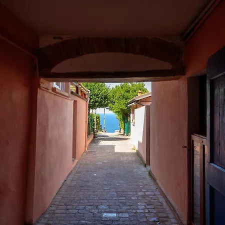 Fronte Mura Castellane - Le Ortensie Di Liliana Fiorenzuola di Focara